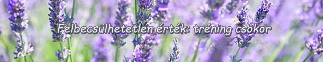 lavender-blossom-1595581__340-002 (2)